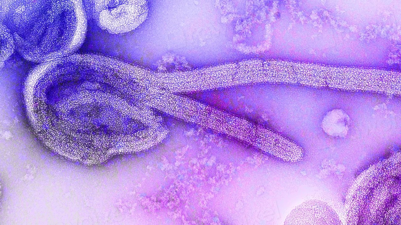 6 Scientific Theories That Changed How We See the World