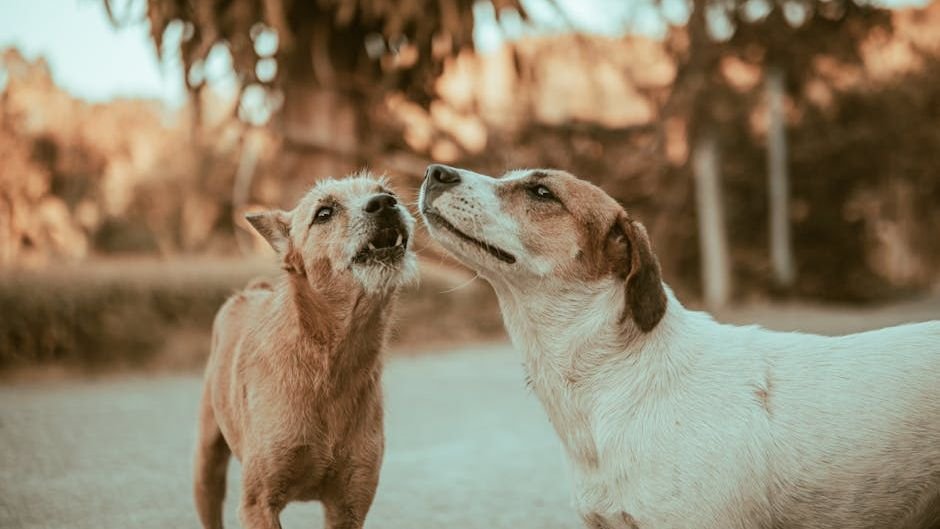 8 Incredible Ways Animals Communicate That We Are Just Beginning to Understand