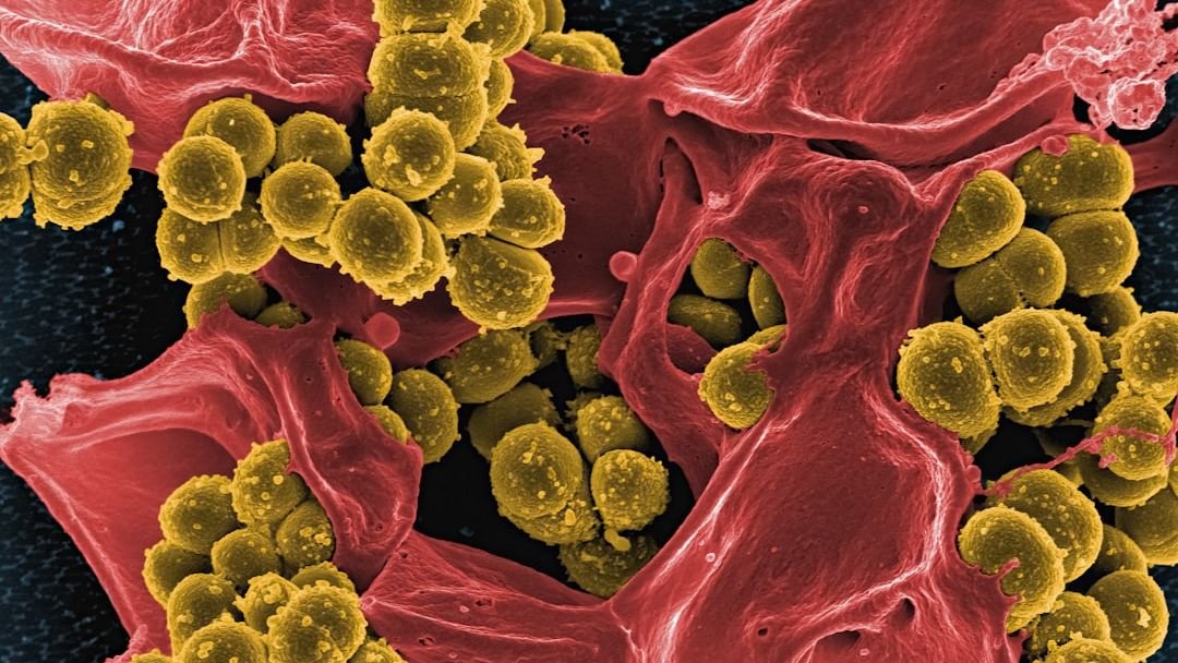 There’s a Hidden World of Microbes Living Inside You