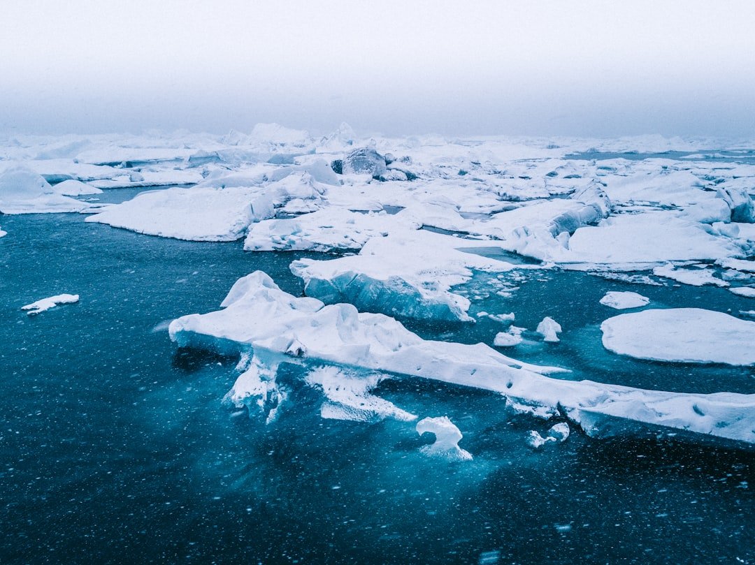What does the future hold for the thawing Arctic?