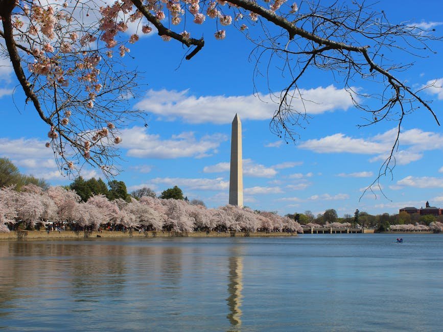 DC Weather: Cool Tuesday, warmer days knocking at the door later this week
