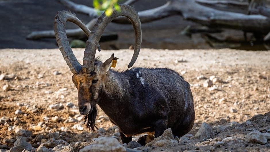 10 Wild Creatures That Live in the World's Harshest Environments