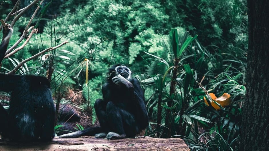 7 Scientific Myths About Animals That Just Aren't True Anymore