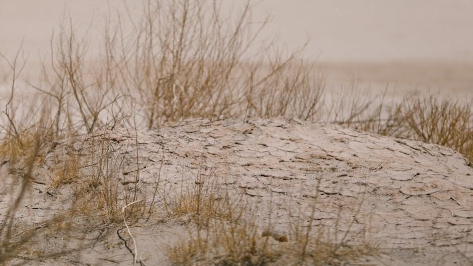 Florida is facing its most intense drought in 15 years. Here's how it got so bad and how long it will last.