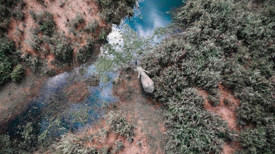 AI is a double-edged sword for Indigenous stewardship, say U.N. experts