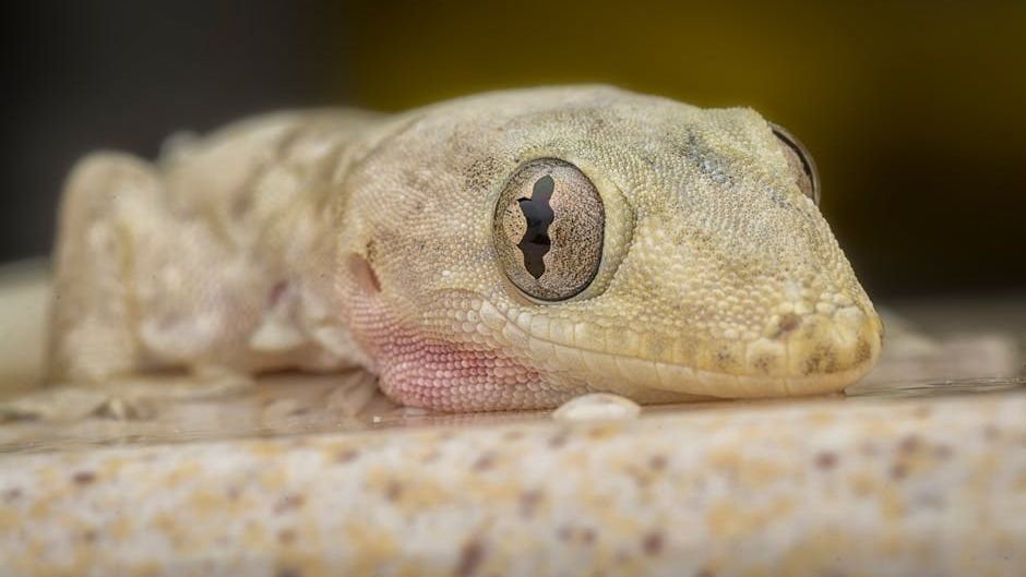 New ‘cryptic’ gecko species discovered in Vietnam’s imperiled karst forests