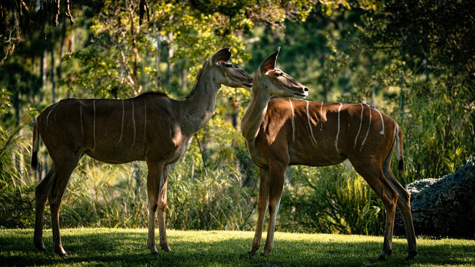 Linking habitats strengthens wildlife microbiomes, helps fight disease: Study