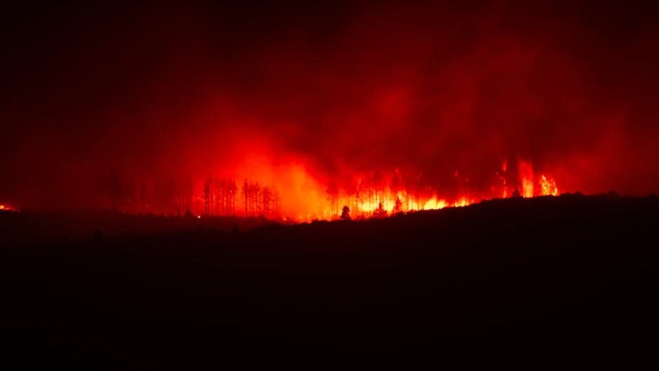 Scientists forecast wildfire risk for species survival under climate change