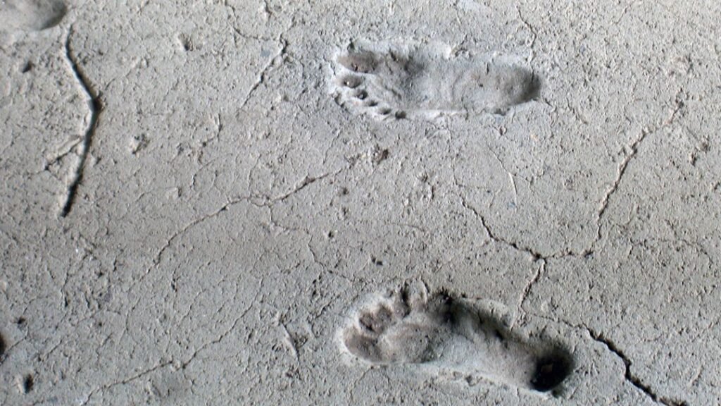 Archaeologists Found 115,000-Year-Old Human Footprints Where They Shouldn’t Be