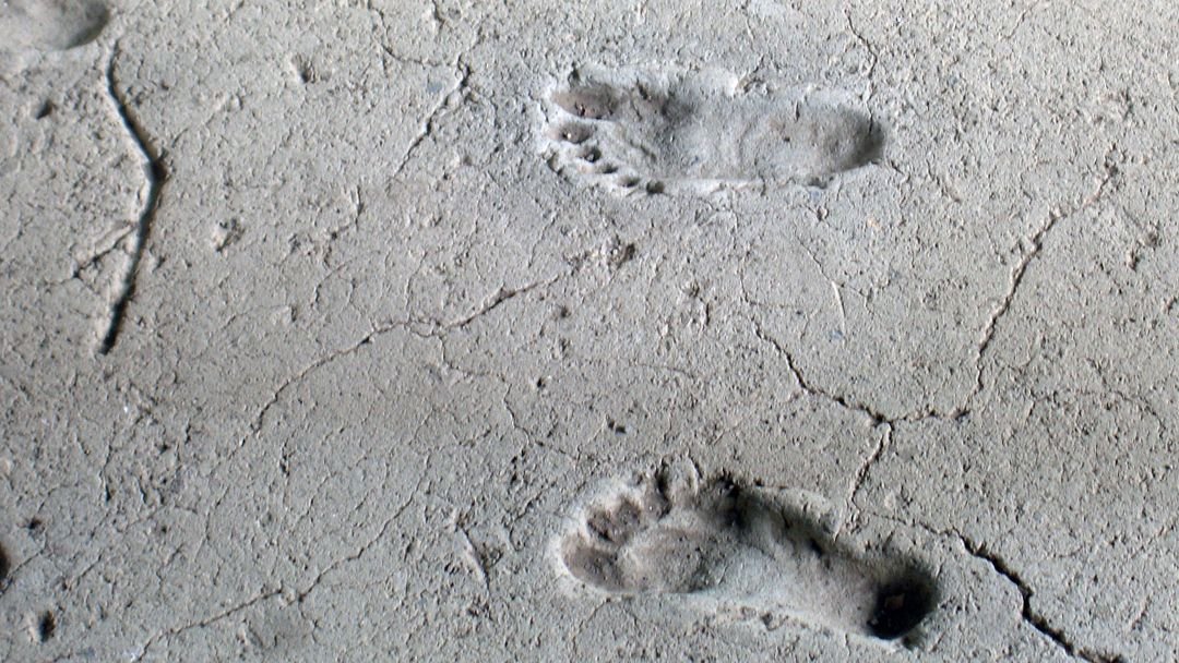 Archaeologists Found 115,000-Year-Old Human Footprints Where They Shouldn’t Be
