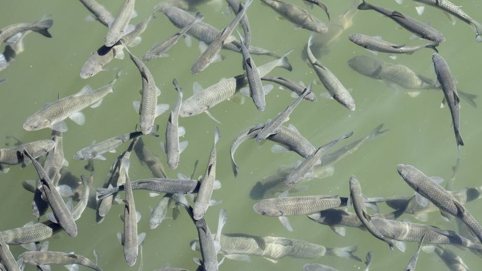 Commentary: Fish and wildlife conservation should not be another popularity contest