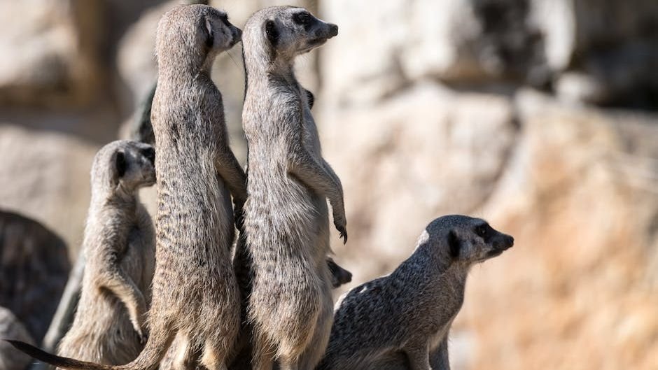 The Enigma of Animal Altruism: Why Some Species Sacrifice for Others