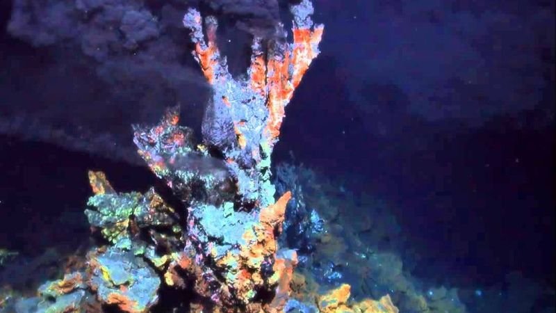 The Secrets of Deep-Sea Ecosystems Are Changing Our View of Life on Earth