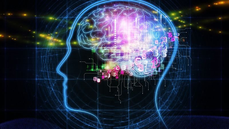 The Brain's Electric Symphony: How Consciousness Might Emerge from Neural Networks