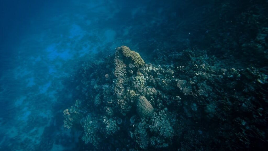 The Mariana Trench: Earth's Deepest Secret Still Holds Unanswered Questions