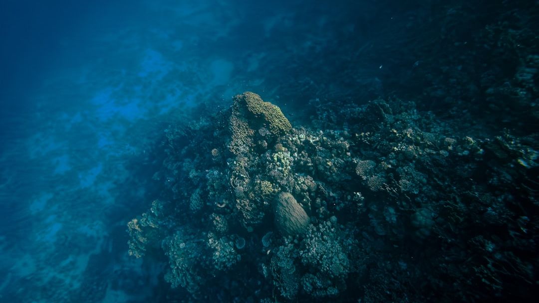 The Mariana Trench: Earth’s Deepest Secret Still Holds Unanswered Questions