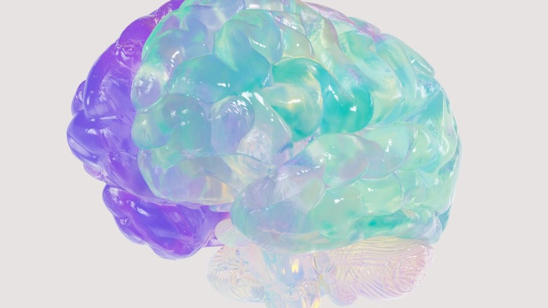 The Human Brain’s Incredible Capacity for Memory: A Scientific Marvel