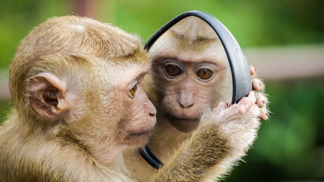 Animals Might Be More Conscious Than We Ever Thought Possible