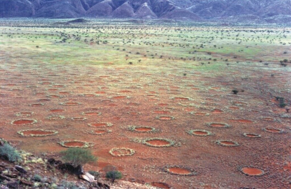 The Fairy Circles of Namibia