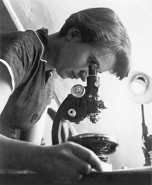 2. Rosalind Franklin: The Sharp Eye Behind the Double Helix