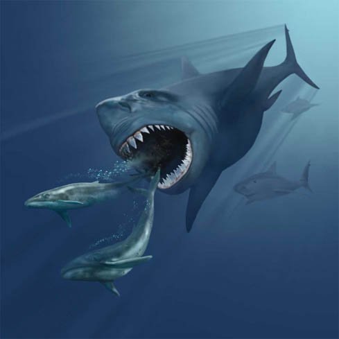 Megalodon: The Megashark That Ruled the Cenozoic Seas
