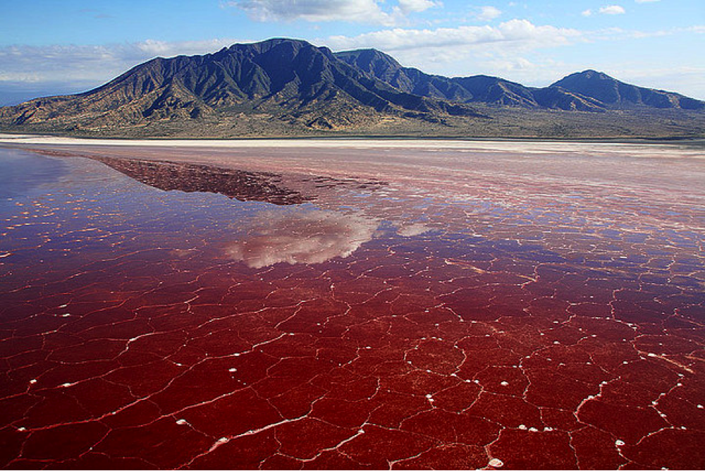 4. Lake Natron, Tanzania