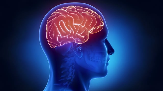 Why Some Scientists Believe the Human Brain Is Wired to Sense Death Nearby