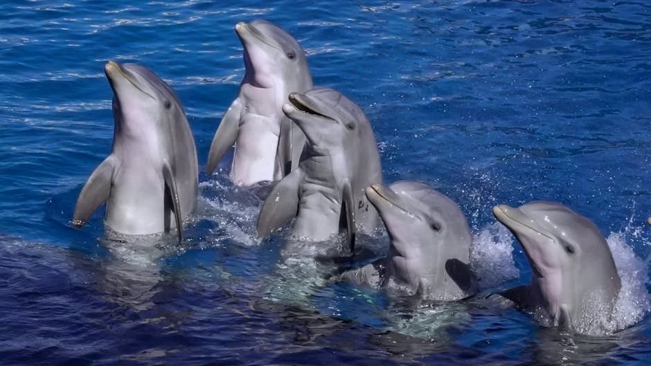 7 Amazing Animal Behaviors That Defy Simple Explanation
