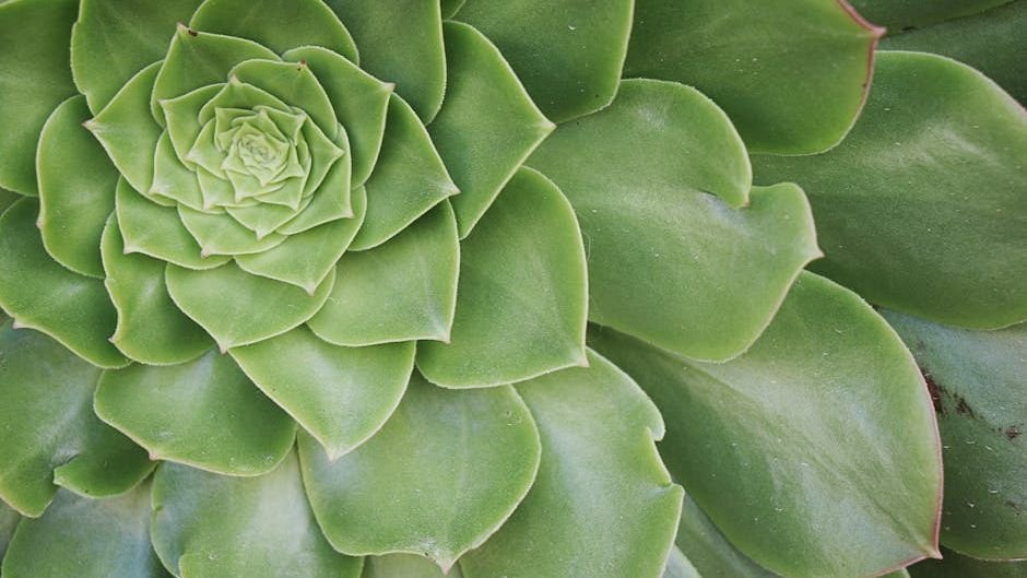 10 Incredible Inventions Inspired by the Natural World