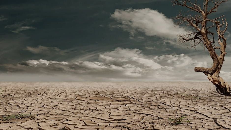 10 Mind-Blowing Facts About Our Planet's Most Extreme Environments