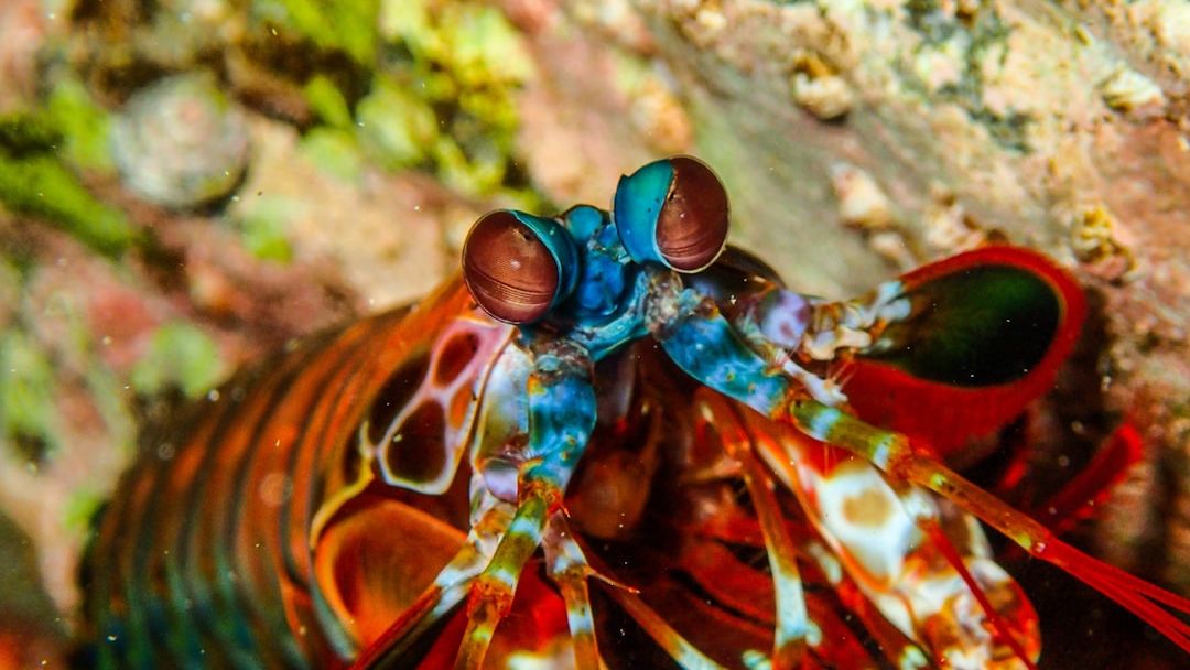 9 Unique Animals with Abilities That Seem Impossible