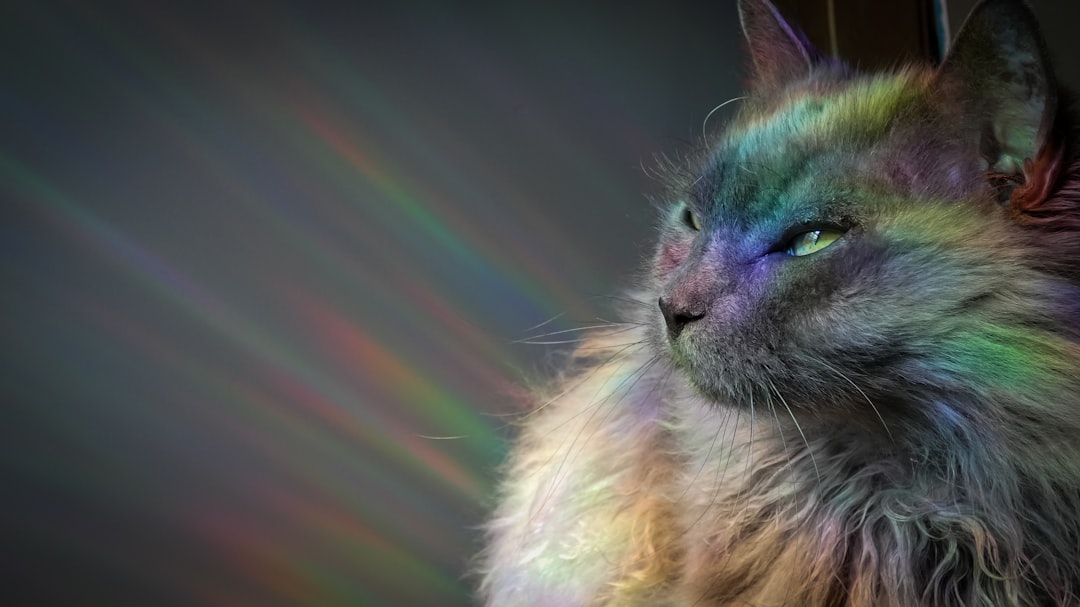 Some Animals See Colors We Can Only Imagine: A Look Into Their Vision