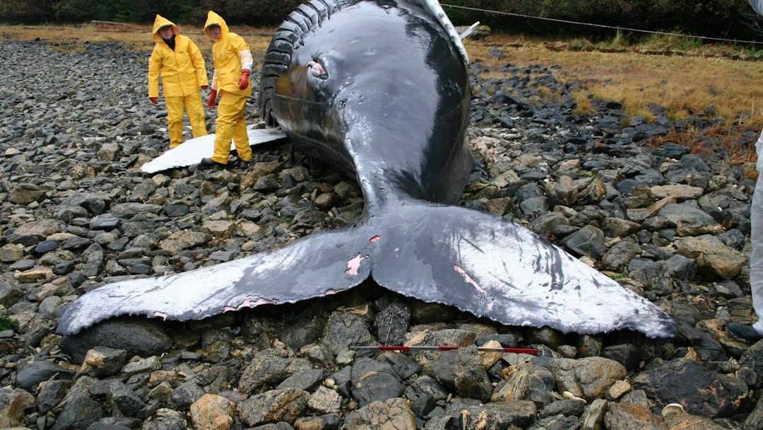 8 Unexplained Phenomena in Nature That Science Can’t Fully Grasp