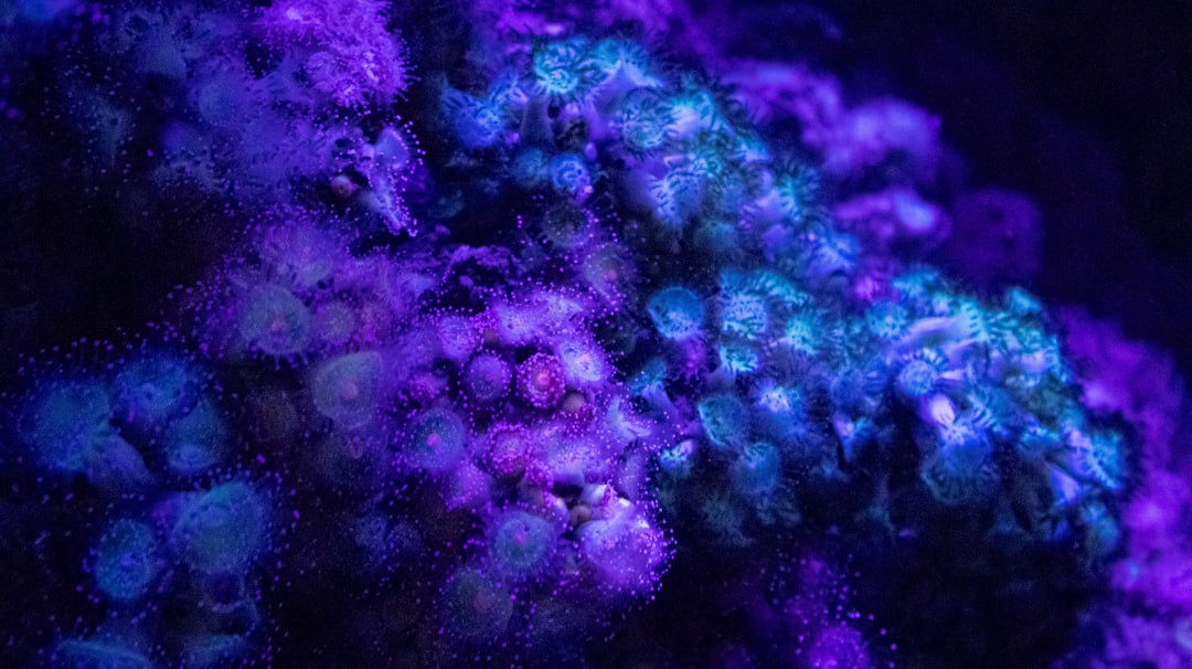10 Fascinating Facts About Bioluminescence in Deep-Sea Creatures