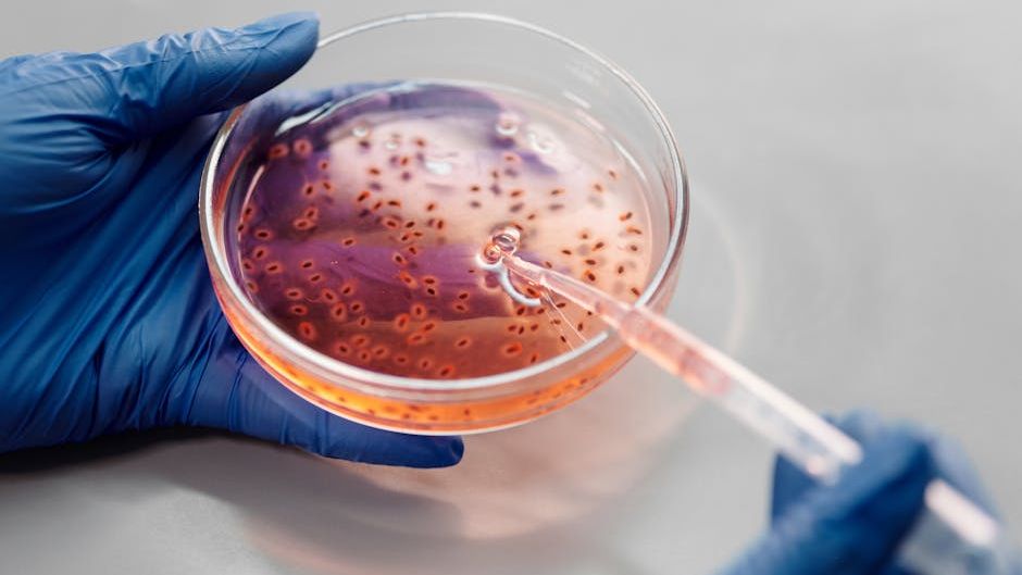 8 Scientific Breakthroughs That Are Changing Our Understanding of Aging