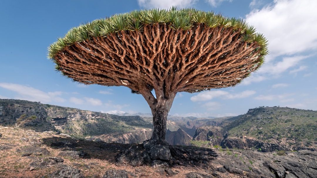 10 Real-Life Places on Earth That Feel Like They Belong in Science Fiction