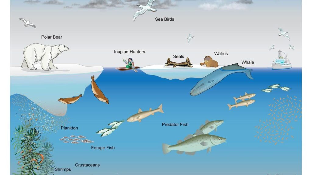 Every Living Thing on Earth is Connected in Ways We Are Just Beginning to See