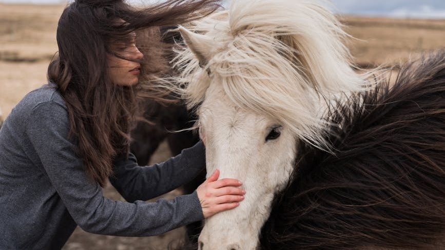 Zodiac Signs With Soul-Level Connections To Animals