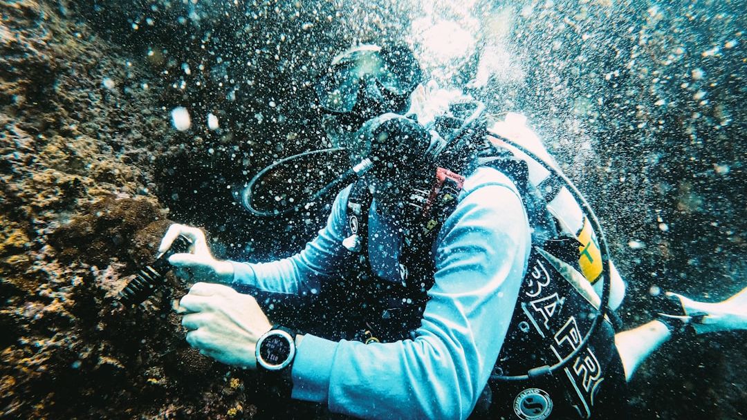 15 Ocean Finds Researchers Still Cannot Fully Explain Decades Later