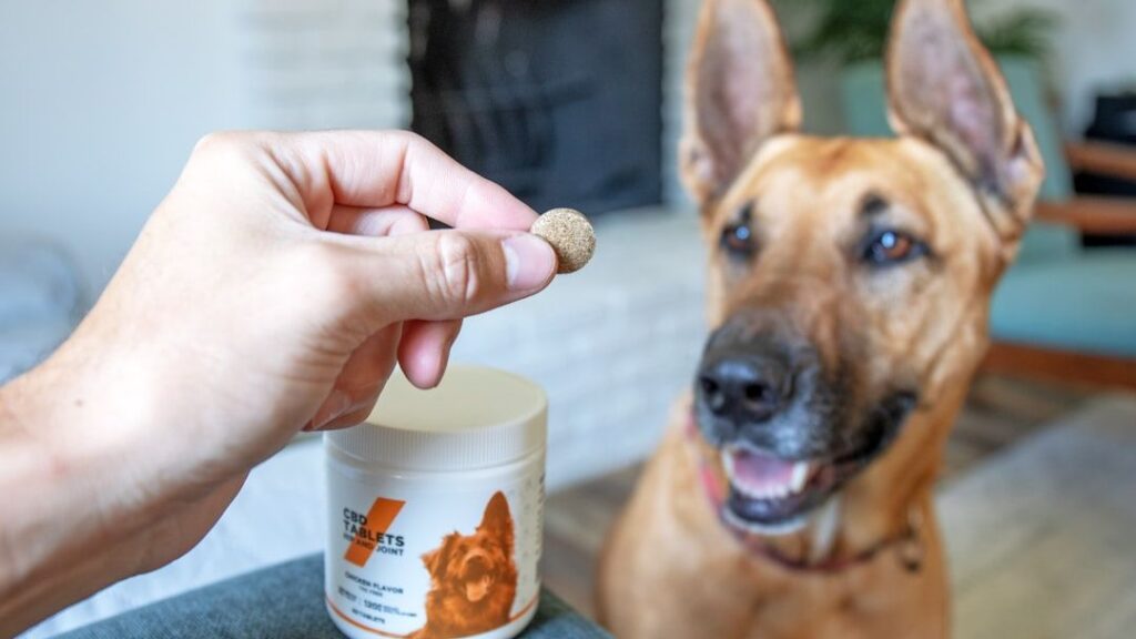 Complete Guide to Dog Multivitamins