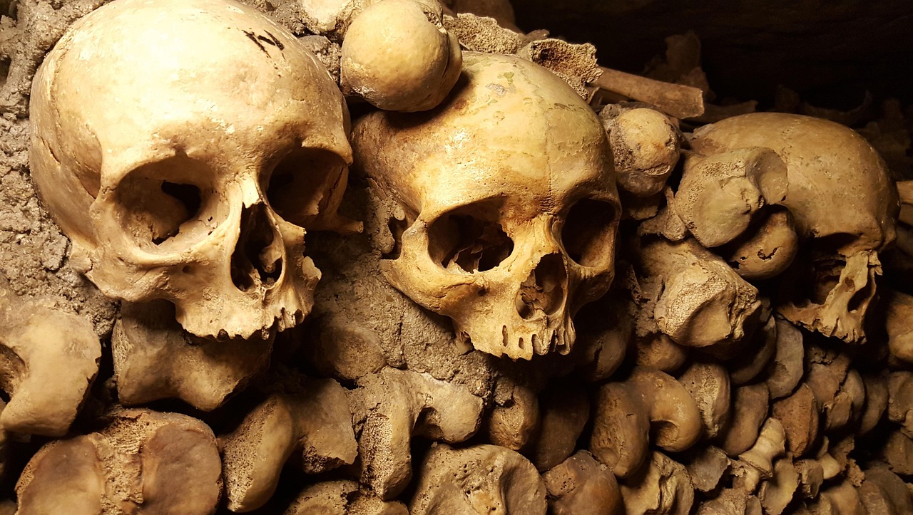 15 Archaeological Discoveries That Shouldn’t Have Been Preserved