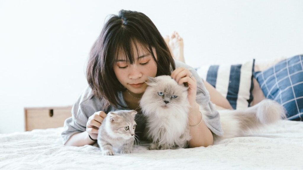 What Type of Household Pet Are You According to Your Zodiac Sign