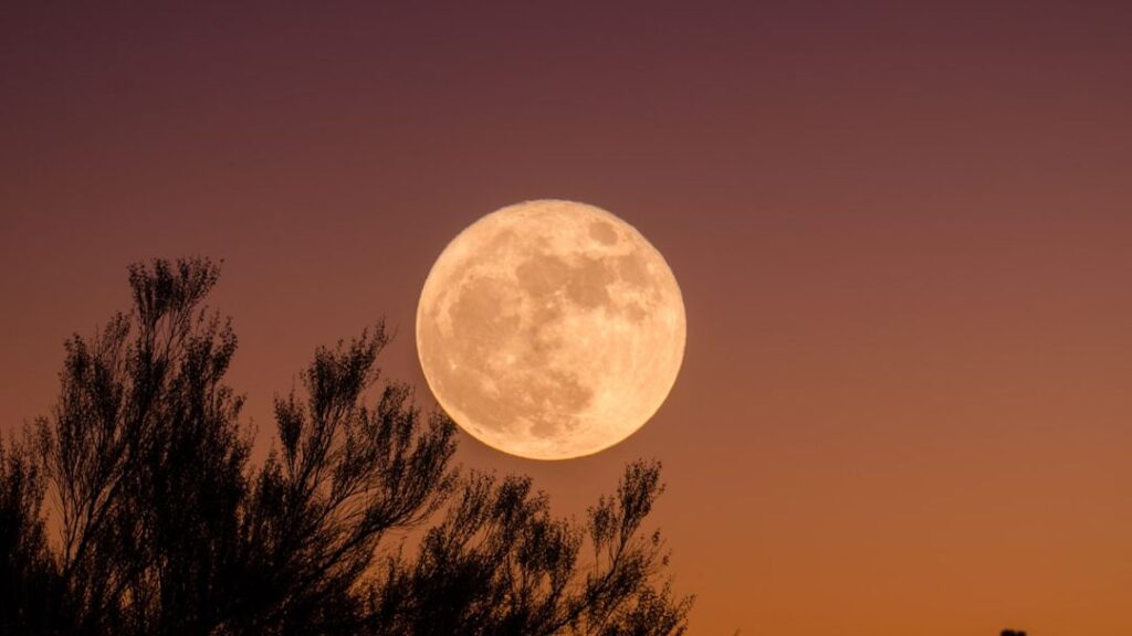 2026 Full Moon calendar: When to see the Full Moon and phases