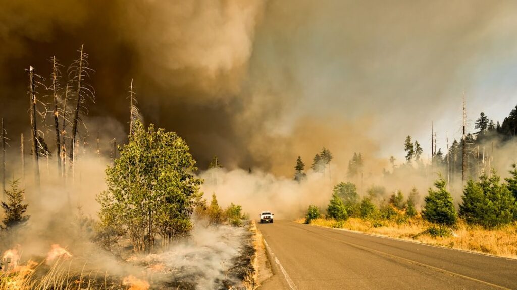 Forecasters predict wildfires, floods, severe heatwaves from incoming El Niño