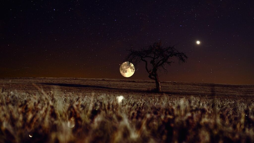 That bright light after sunset? Venus is starting a summer show that's impossible to miss