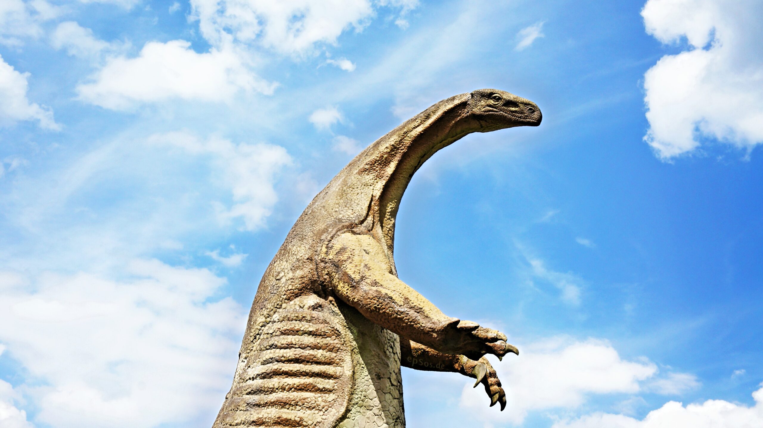 Largest Southeast Asian Dinosaur Discovered in Thailand