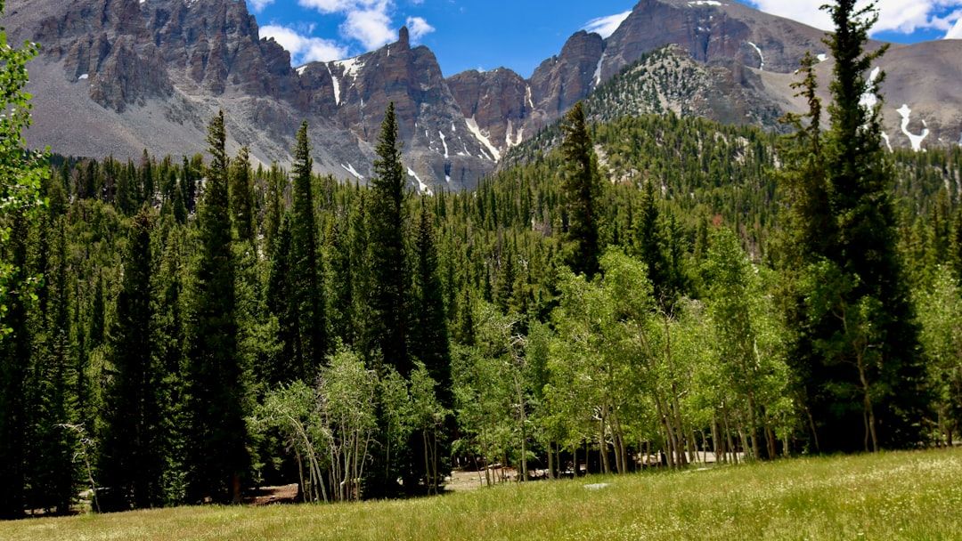 11 Beautiful National Parks in America That Feel Like Another Planet