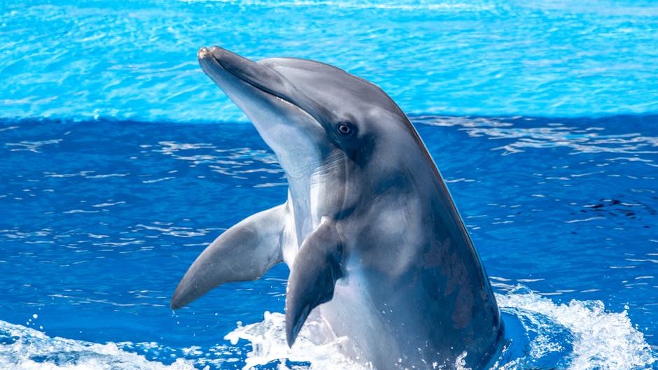 What Ocean Creature Matches Your Zodiac Sign’s Emotional Energy?