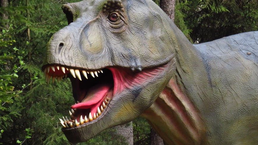 Giant Tyrannosaur Fossil Found in New Mexico