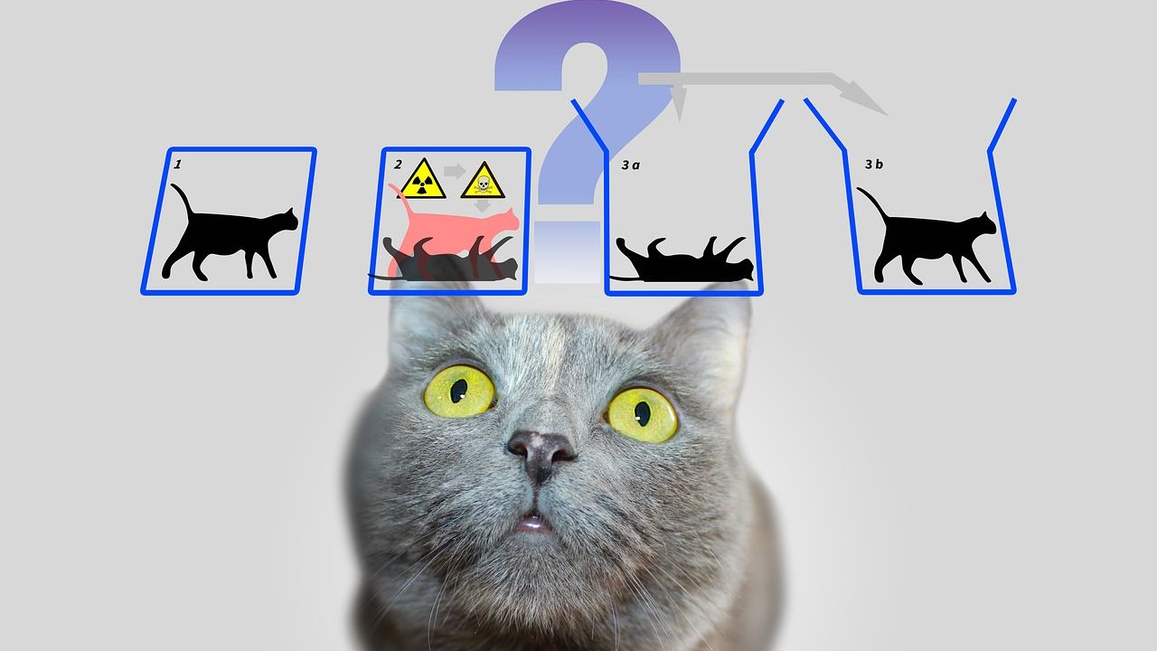 12 Physics Discoveries That Made Scientists Question Reality